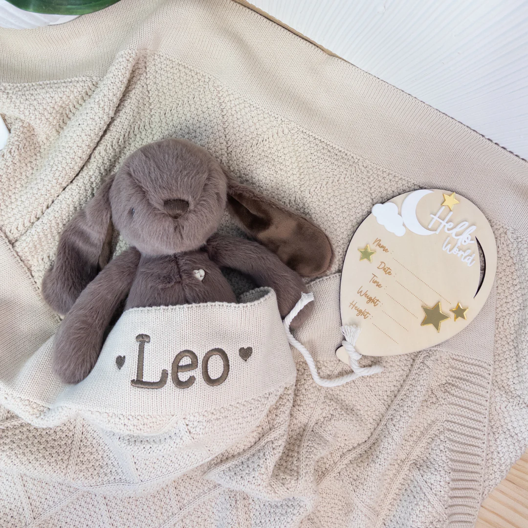 Birth Announcement Plaque - Hello World Balloon - Image 3