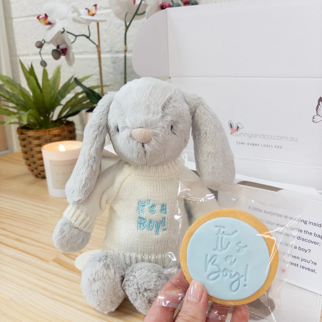 Gender Reveal Set - Snuggle Bunnies Moonbeam & Powder Pink - Image 3