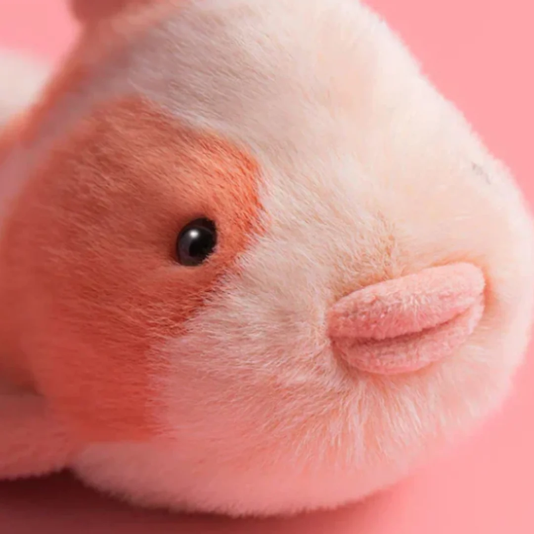 Jellycat Amuseables - Fancy Carp - Image 5